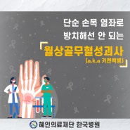 [제주한국병원 관절척추센터] 완치가 어려워 조기 치료가 필요한 월상골무혈성괴사