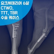 은평구 동물병원에서 십자인대 파열 수술, 안전하게 진행했습니다!