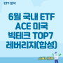 매그니피센트 7 ETF 뜻이 뭐야? ACE 미국빅테크TOP7 PLUS레버리지(합성)