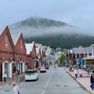 [일본 북해도, 1일차] 북해도 여행 첫날, 신치토세에서 JR타고 하코다테 가기, 아카렌가 창고, 럭키삐에로, 하코다테 야경 실패