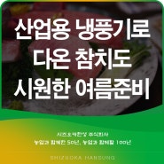 산업용 냉풍기로 다온 참치도 시원한 여름 준비