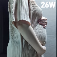 임신 26주 배크기 임당검사와 정밀초음파