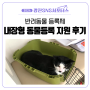 [광진 SNS 서포터스] 광진구 동물등록 지원, 아이본동물병원 건강검진 고양이 내장칩 후기