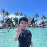괌 PIC 골드카드 수영장 서커스 쇼핑 마트 돌핀크루즈 꿀팁 아이와 해외여행