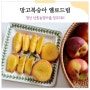 망고복숭아 옐로드림 최고 당도 경산 산촌농장마을