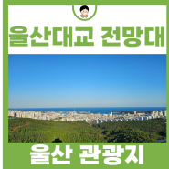 울산 볼거리 관광지 추천 울산대교 전망대 산책로 걷기좋은길