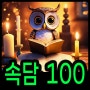 인생을 바꾸는 속담 100가지 모음