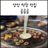 양산 범어 맛집_ 계속 생각나는 맛 와인 막창부터 한우 곱창전골이 맛있는 곱곱곱