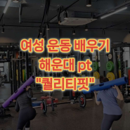 [해운대 pt] 퀄리티핏에서 근력 향상, 다이어트로 건강해지자!