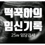 [25주 기록] 떡꾹이 임신기록(임당검사)