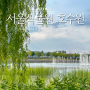 서울 혼자 가볼만한곳 서울식물원 힐링명소 호수원 산책
