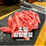 서울 상암동 맛집 소담 상암본점 DMC역 소갈비살 회식 장소 추천