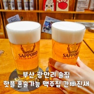 부산 광안리 술집 핫플 혼술 가능 광안리해수욕장 맥주집 간빠진새