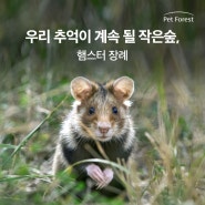 우리 추억이 계속 될 작은 숲, 햄스터 장례