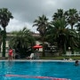제주도 야외수영장 마이테르수영장 다이빙가능한 수영장 있는 호텔