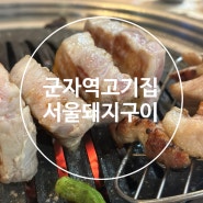 군자역고기집 입에서 살살 녹는 고기와 밀면의 조합 서울돼지구이
