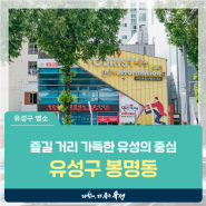 대전 유성구 동네, 즐길 거리 가득한 유성의 중심 '봉명동'