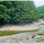 (인제여행) 청정자연 용대리·백담사계곡 트레킹!