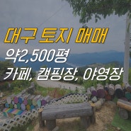 대구 내 2,500평 캠핑장, 야영장, 카페, 펜션 토지 매매