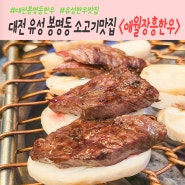 대전 봉명동 소고기 맛집 입속 살살녹는 애월장흥한우 이용 후기