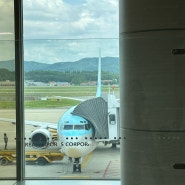 청주공항 제주도~ 대한항공 모닝캄 우선탑승^^