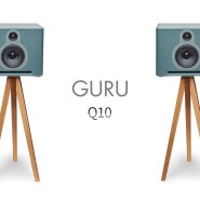 간만에 접한 활기 넘치는 음 Guru Audio Q10