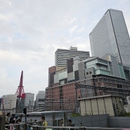 일본 오사카 유메다 나들이 루루아 햅파이브 / 집에 갑니당!