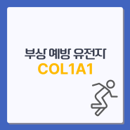 [제노뉴트라] 아는게 힘! COL1A1 유전자 검사로 부상 예방해요