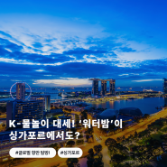 [글로벌 PORT TOP 50] K-물놀이 대세! ‘워터밤’이 싱가포르에서도?