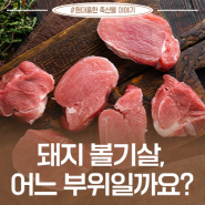 맛있는 돼지고기 부위 파헤치기! 돼지 볼기살, 어느 부위일까요?