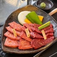 오사카 2박3일 여행 : 24시 야키니꾸 맛집 니쿠하치 도톤보리 방문 후기