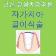 군산 미장동치과 자가 치아 골 이식술