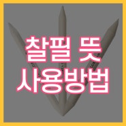 찰필 뜻 사용방법 알아보기