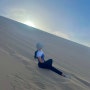 [2024.06.02~09] 몽골 여행(with. 여기트래블) 3일차-2 | 몽골 모래언덕, 모래썰매