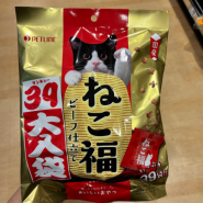 일본 고양이 제품 할인 링크 총 정리