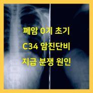 폐암 0기 초기 C34 암진단비 지급 분쟁 원인