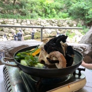 북한산 청솔집에서 닭백숙 먹고 계곡즐기기 +애견동반