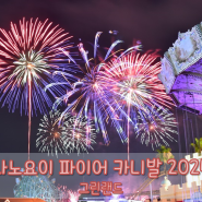 [여름축제/불꽃놀이] 사노요이 파이어 카니발 2024