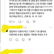 생각보다 괜찮다는 우리나라 어린이집