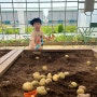 김포 아이랑 농장 체험 물놀이터 먹이주기 낚시 실내놀이터