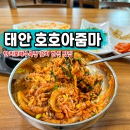 태안 만리포 맛집 모항항 호호아줌마 메뉴 가격 혼밥 후기