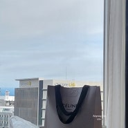 후쿠오카 셀린느 후기 폴코백팩 미니 구매 트래블월렛 주의사항