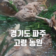 풍경 좋고 인심 좋고 맛도 좋은 경기도 파주 고령농원