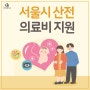 서울시 산전 의료비 지원 / 산전 의료비 지원의 목적과 신청방법