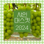 [마켓우리끼리][오늘핫딜]2024여름,샤인머스킷,합리적인 샤인머스킷,당도는 최대 22브릭까지^^