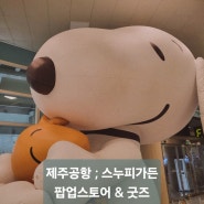 제주도공항 스누피가든팝업(1층 안쪽 게이트 2번에서 3번쪽에 입구 있어요 )