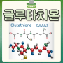 글루타치온 효능 효과 부작용 글루타치온 음식