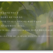 신천지 성도의 기도 / 신천기41년07월 09일-1