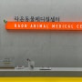구미동물병원 구미고양이건강검진 구미 라온동물메디컬센터