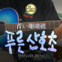 마츠다 세이코의 푸른산호초, 기타로 배워보자! 팜하니 도쿄돔 공연 곡! [타브악보 커버 듣기 가사 통기타배우기]